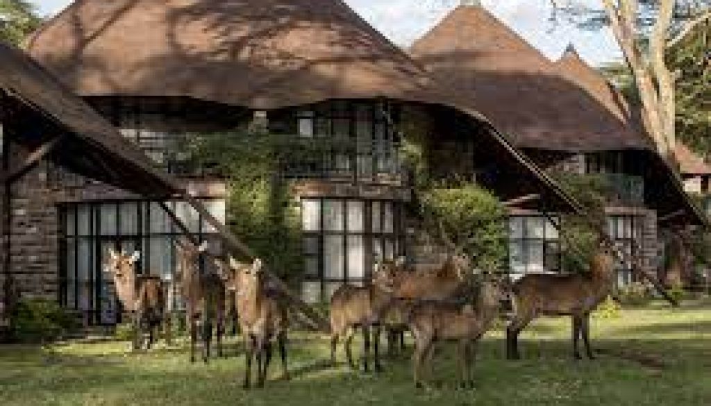 places to visit in Naivasha