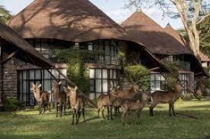 places to visit in Naivasha
